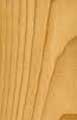 Western Red Cedar Wood Grain Thumbnail